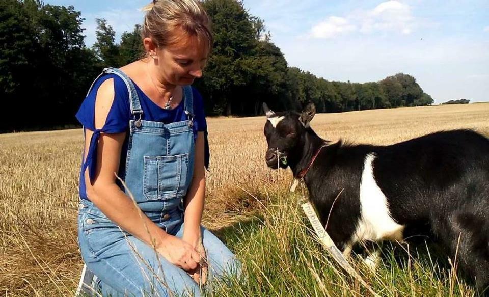 Gite La Bulle Enchantee Bezinghem Exteriör bild